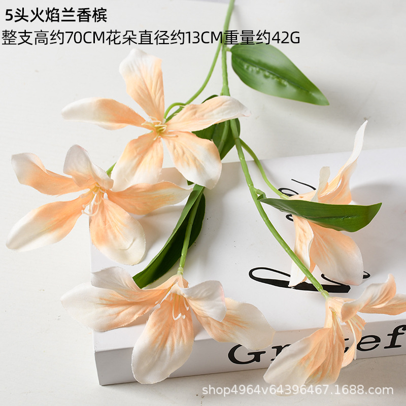 5 헤드 플레임 오키드 샴페인