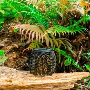 ̫����Fˇ��ͥԺ������LED�b�������R�d���Fˇ�U�՟�