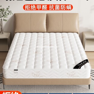 ϯ��˼���|�����������zܛ�|20cm��ӲҬ��1.5���ⷿ���Ï��ɴ��|