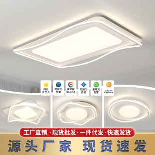 客厅房间吸顶灯