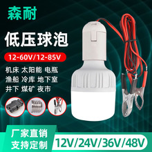 低压LED球泡灯 12-48V钓鱼工地夜市地摊直流高护帅电瓶灯泡批发