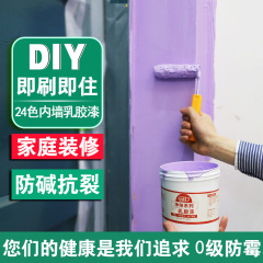 ラテックスペイント屋内家庭用カラーホワイト内壁ペイント壁ペイント修理修復壁ペイントセルフブラッシング無臭ペイント