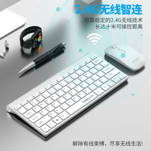 �羳����WT110�o���I�P������b��X�Pӛ����Ӽ����k����y�I��