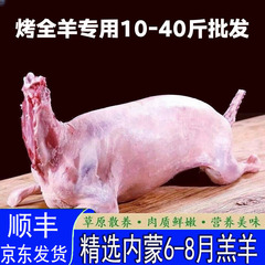 内モンゴル産の焼きたての子羊、焼きたての丸ごと羊、業務用羊、白羊ケトボディ、5-20kg バーベキューショップの食材