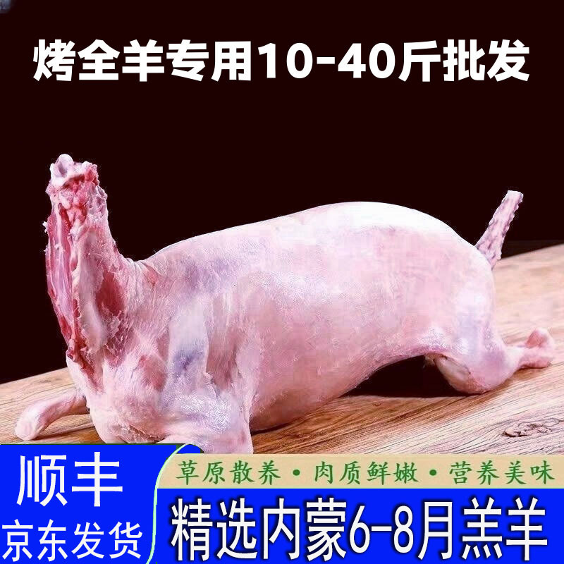 内モンゴル産の焼きたての子羊、焼きたての丸ごと羊、業務用羊、白羊ケトボディ、5-20kg バーベキューショップの食材|undefined