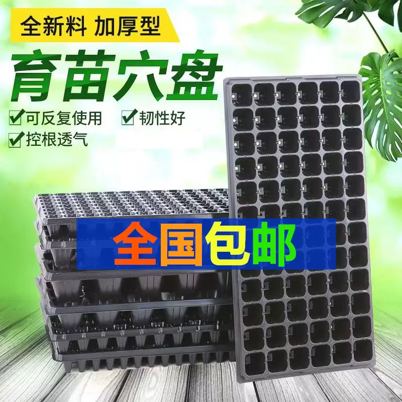 批发育苗盘育苗穴盘盒蔬菜育苗盆塑料育苗器苗木多肉育苗盆整箱发