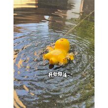 ˮ߃ͯϴ蹫ˮӾƯllӾż≺