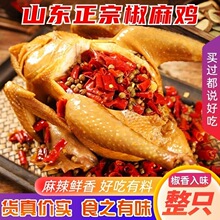 正宗麻椒鸡整只山东特产椒麻鸡熟食开袋即食真空手撕网红卤味零食