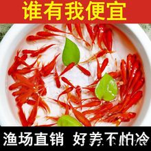 �^�p�~���~С�͵�ˮ�ͻ���ˮ���B���~�w���B�J������~�t�a�~��