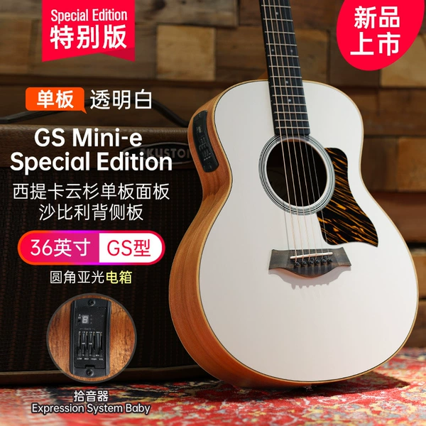 [02_2025新品 GS MINI -E艺术特别版 透明白 电箱]