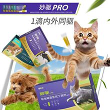 �³�֮������������������ͬ��������Ī���ɶ����������������