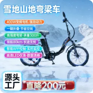 Lithium Battery Electric Bicycle 12-inch Wide Tire Snow Mountain