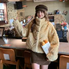千金风环保皮草外套女短款2025款立领毛绒绒小个子设计感皮毛一体