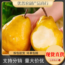 ɽ|̨ l5ŴܛArЋDˮ̫