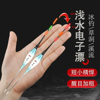 浅水电子漂小短漂日夜两用咬钩变色夜光漂鲫鲤鱼漂订制高灵敏漂