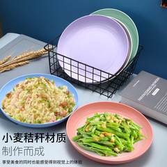 25CM Large Round Plate Household Durable Plastic Plate Nordic Dinner Plate Serving Plate Microwave Safe Tableware Cross-border Plate