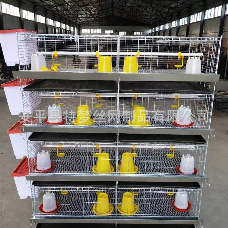 四层八门立式雏鸡笼 育雏鸡笼 70*70大空间养小鸡笼