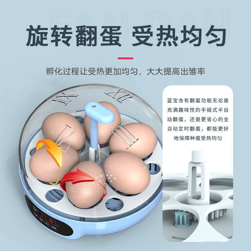 Mini incubadora de huevos, incubadora inteligente pequeña, incubadora automática doméstica para pollos, huevos de pájaros, patos, huevos de incubación