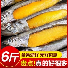 �ഺ�~�M�����r�˳����~������rˮ�a�r��ش��~����ʳ������