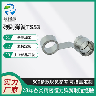 TS53̼ˢ���ɐa������ ���� ���P䓏����R�_̼ˢ�l�l���ɏS�����l