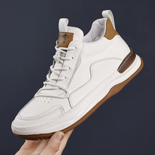 �������eЬ������ʿ��Ƥ��Ь��ů�����Ь��ë�^��ţƤ�ӽqС��Ь