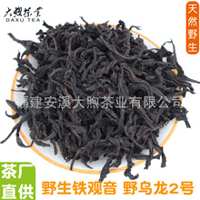 野生铁观音野乌龙2号 特级正宗高山乌龙茶叶浓香型青茶厂批发直供