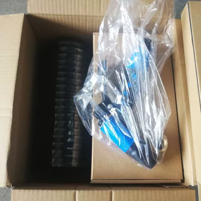 Cleaning Machine — Shuǐbèng Portable car washer