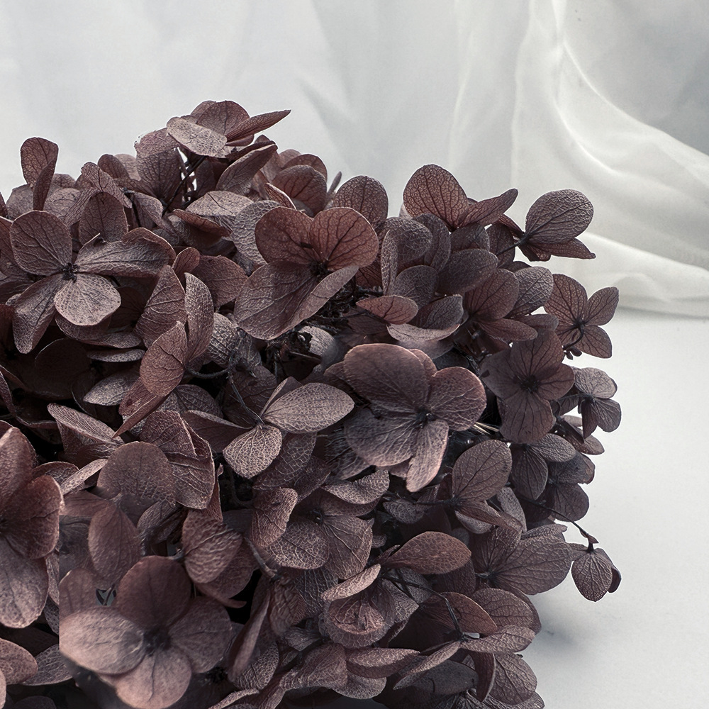 Flores de hortensia preservadas de calidad A+ del fabricante de Yunnan, flores preservadas en caja de 20g.