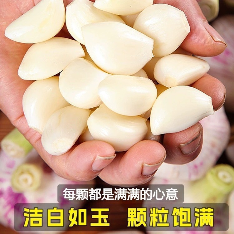 2024 季節のニンニクヘッド卸売乾燥ニンニク紫ニンニクヘッド乾燥ニンニク特大新鮮なニンニク卸売送料無料|undefined
