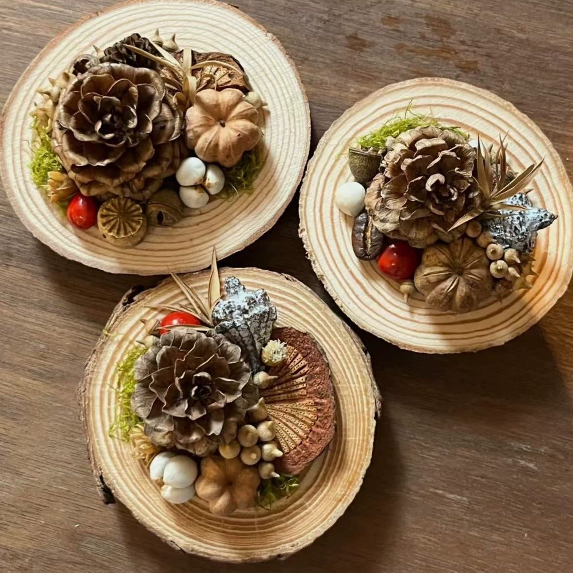 Юньнаньские грибы, дикие грибы, настоящие растения, сделай сам, лесные наклейки на холодильник, образцы, сувениры, украшения для дома, стены