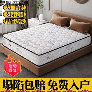 ϯ��˼���|������20CM����Ï������zҬ��ܛӲ���ý������W���ɟo