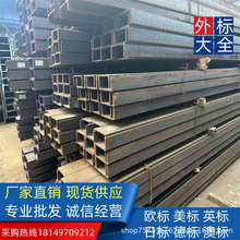 ���JIS �՘˲��300*90*10*15.5���󹤳�