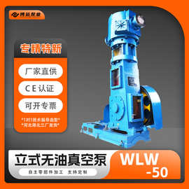 WLW-50立式无油真空泵球铁不锈钢真空蒸馏干燥抽机组电动气泵