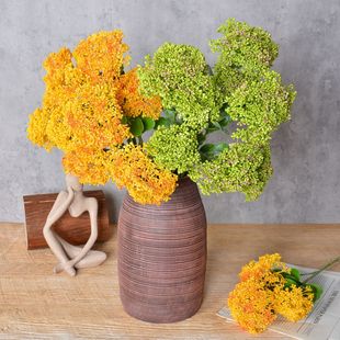 ���滨�����3�^���й��ˌ��� �͏d�ҾӔ[���ٻ��Ӱ巿ܛ�b�廨��