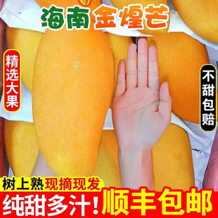 ���Ͻ��â���䮔�����r�Ꭷˮ��ˮ��â���ĳ���â��5��Fժ���]