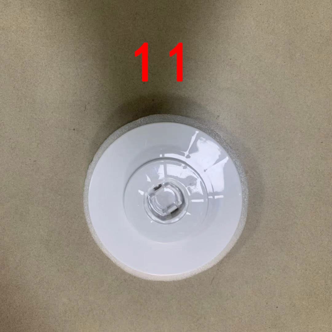 11 번 진주 판