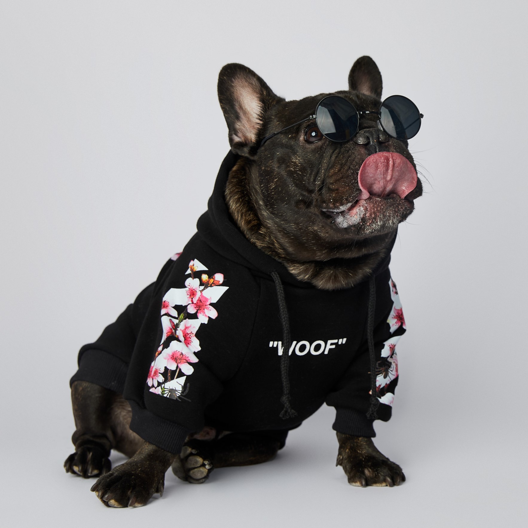Pet Sweater Variation