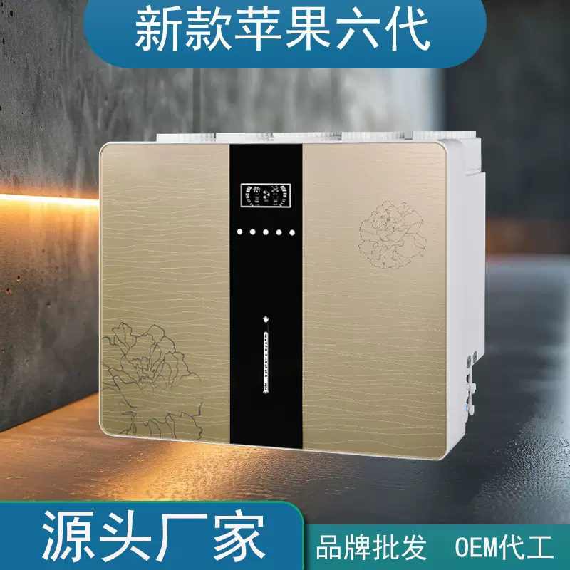现货厂家RO反渗透除垢直饮净水机饮水机厨房过滤机净水器家用直批