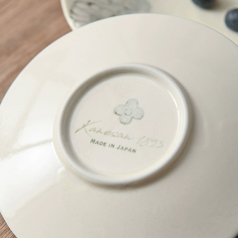 Japanese import ceramic fresh dinner plate