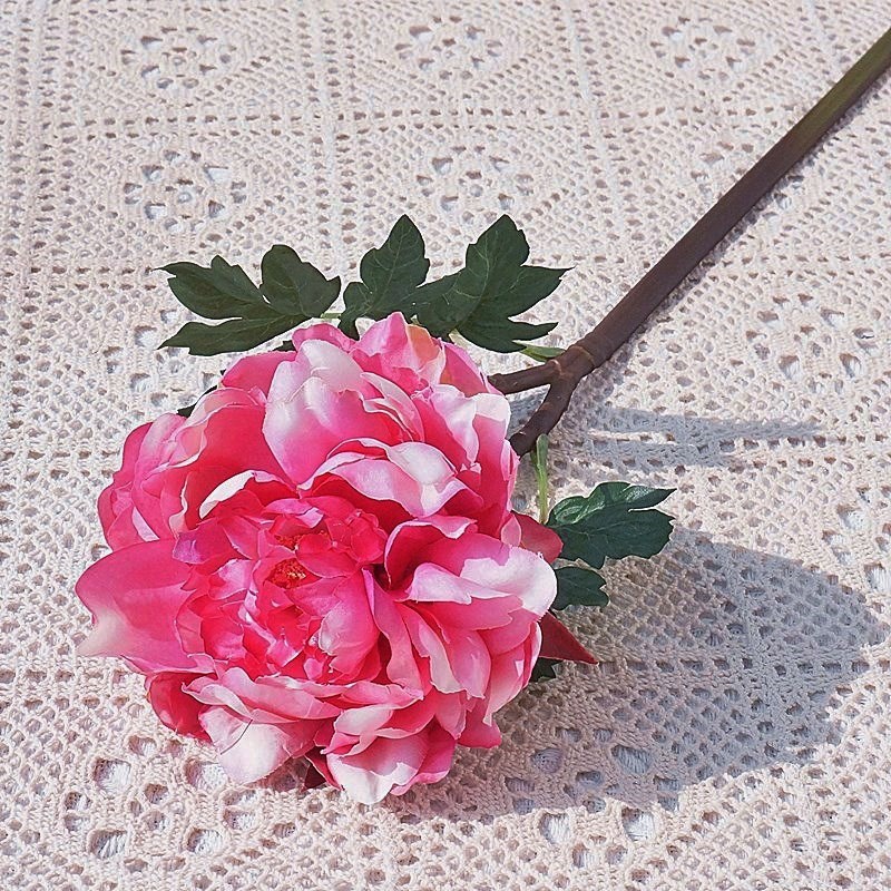 봄 깊은 핑크