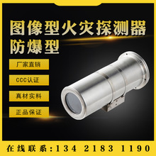 防爆型双波段图像型火灾探测器不锈钢大空间防火监控报警系统新疆