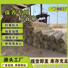 �ݺ���w��ɻ�� �ɲݵ��ݺ����߲˴��ﱣ���Bֳ���������݉|����