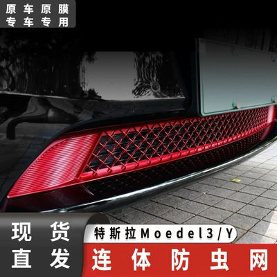 Automobile anti-insect net – for Tesla Model 3/Y one-piece