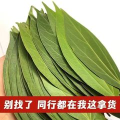 平安の葉、彫刻された葉の写真、本物の葉、レーザー卸売標本、乾燥葉、幸運の葉