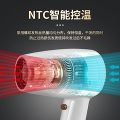 廠家批發新款大功率吹風機酒店家用跨境冷熱風吹風機壁掛式免打孔