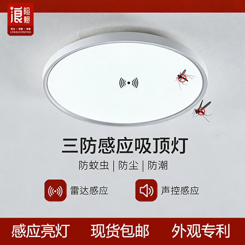 Induction Ceiling Light Led Voice-Activated Light Radar Sensor Light Entry Hallway Corridor Staircase Garage Balcony Sensor Light