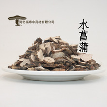 福寿中药材 批发 水菖蒲 石菖蒲 规格齐全 道地药材 诚邀合作