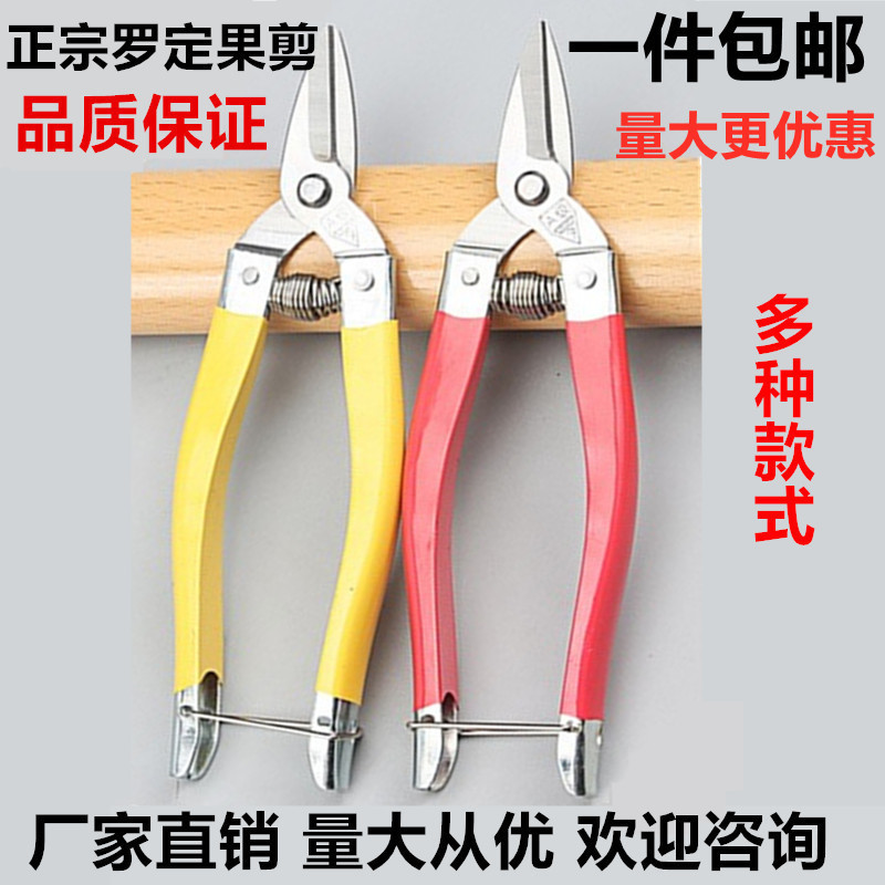 A级罗定果剪中黄小黄稀果剪园林剪不锈钢摘果剪橘子剪刀修枝剪