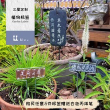 ֲʯļtuuƻܘ˺ӛ̖P