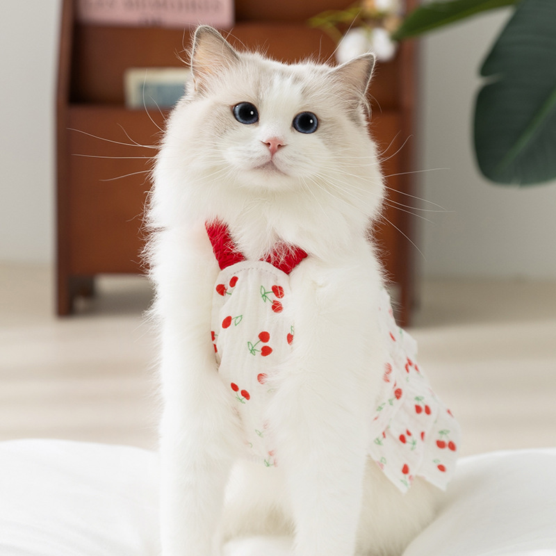 Gato primavera verano cereza dulce vestido gasa transpirable perro cabestrillo ropa de gato Teddy mascota falda de perro